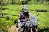 Day 4: NGHIA LO – MU CANG CHAI (130 KM / APPROX. 4 HOURS) (B/L/D)