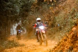 Day 13: Da Lat - Cat Tien National Park (APPROX 200 KM) (B/L/D)
