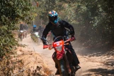 Day 12: (28Th Oct, 2026 ) Nha Trang - Da Lat (APPROX 150KM) (B/L/D)
