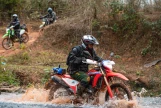 Day 1: (25th May, 2026 ) HANOI – VU LINH (APPROX 180 KM) (L/D)