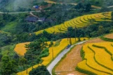 Day 5: (15Th May, 2026) MU CANG CHAI – SAPA (160 KM / APPROX. 5 HOURS) (B/L/D)