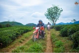 Day 5: ( 9th July, 2026) BAO LAC – BAN GIOC WATERFALL (APPROX. 200 KM) (B/L/D)