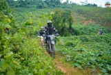 Day 4: ( 8Th Nov, 2026) NGHIA LO – SAPA (230 KM / APPROX. 6 HOURS) (B/L/D)