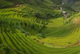 Day 5: MU CANG CHAI EXPLORATION (B/L/D)