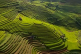 Day 4: TRAM TAU - MU CANG CHAI (B/L/D)