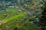 Day 2: Mai Chau - Pu Luong Nature Reserve - Ninh Binh (B/L/D)