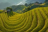 Day 5: (28th Sept, 2026) MU CANG CHAI – SAPA (160 KM / ~5 HOURS) (B/L/D)