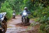 Day 14: (25th Dec) Cat Tien – Saigon (Approx. 160 Km) (B/L)