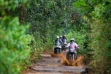 Day 13: (19th Nov) Da Lat – Cat Tien National Park (Approx. 200 Km) (B/L/D)