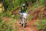 Day 3: (24th February, 2027) Phu Yen – Nghia Lo (130 Km | Approx. 6 Hours) (B/L/D)