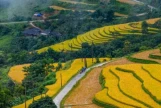 Day 4: (6th April, 2027) Nghia Lo - Mu Cang Chai (130 Km | Approx. 4 Hours) (B/L/D)
