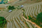 Day 4: (17th Nov, 2027) NGHIA LO – MU CANG CHAI (130 KM / APPROX. 4 HOURS) (B/L/D)