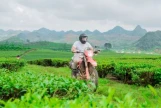 Day 1: (21st Oct, 2027) HANOI – VU LINH (APPROX 180 KM) (L/D)