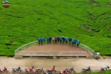 Day 2: (4Th July, 2026) MAI CHAU – PHU YEN (190 KM / APPROX. 6 HOURS) (B/L/D)