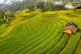 Day 4: (15th Nov) NGHIA LO – MU CANG CHAI (130KM/ APPROX. 4 HOURS) (B/L/D)