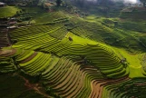 Day 3: Phu Yen - Nghia Lo (160km/approx. 6 Hours) (B/L/D)
