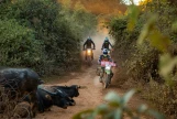 Day 5: LUANG PRABANG - VANG VIENG (200 KM) (B/L/D)