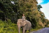 Day 5: Da Lat - Buon Ma Thuot (APPROX 200KM) (B/L/D)