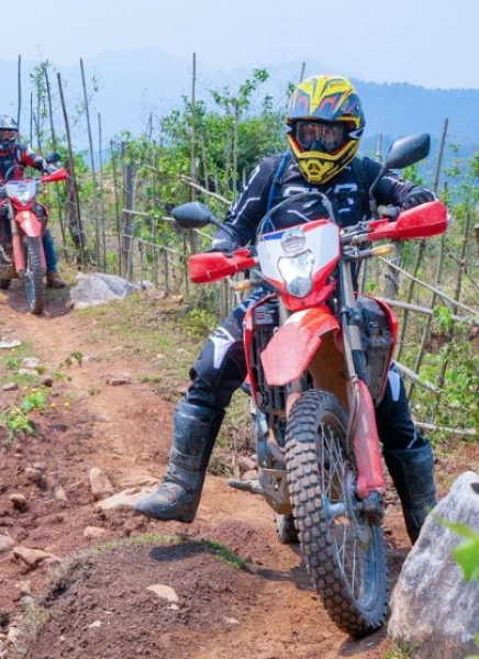 (3Rd–9Th Aug 2027) Through Clouds & Valleys: 7 Days In Northwest Vietnam
